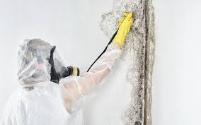 Best Comprehensive Air Testing for Mold Contaminants  in Pittsburg, CA